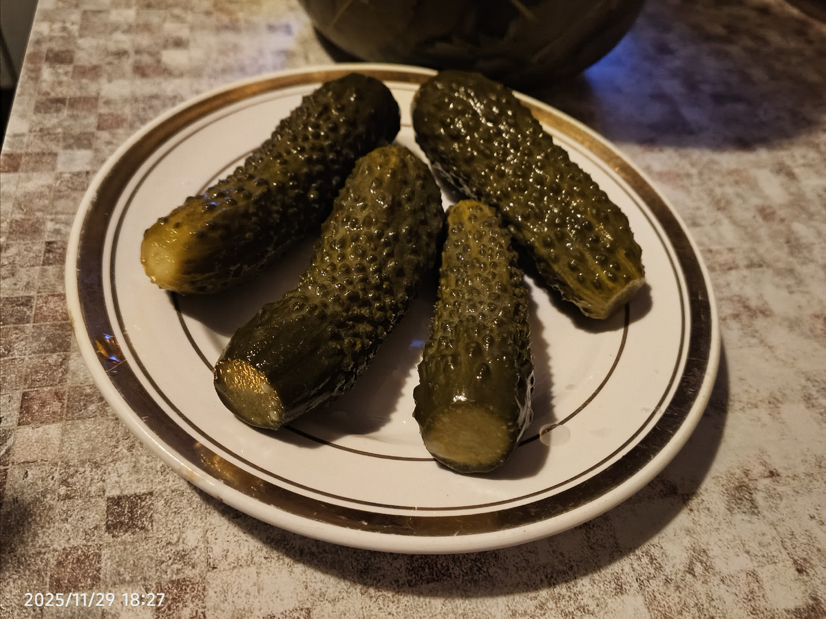 Хороши летом и зимой