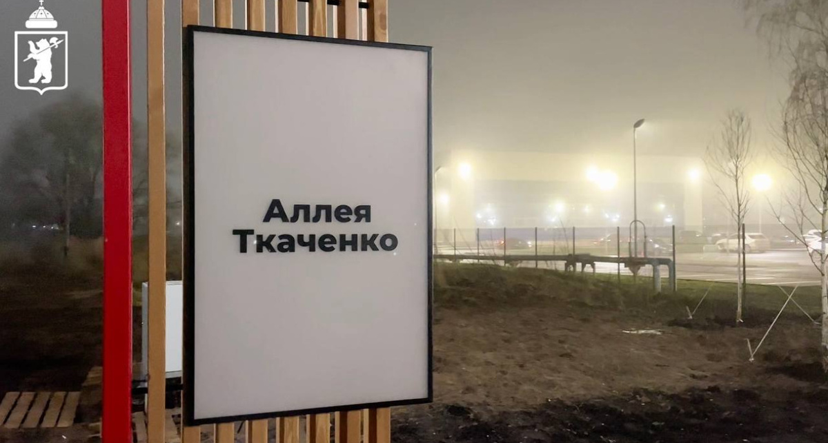    фото пресс-службы мэрии Ярославля