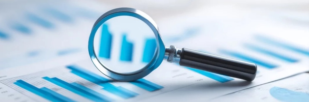 1.5 года в коммерческой генеалогии: мои первые исследования на заказ