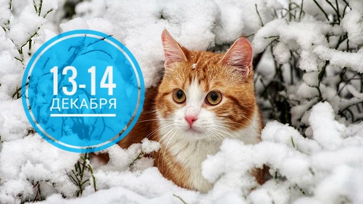 Нумерологический прогноз на 13 и 14 декабря