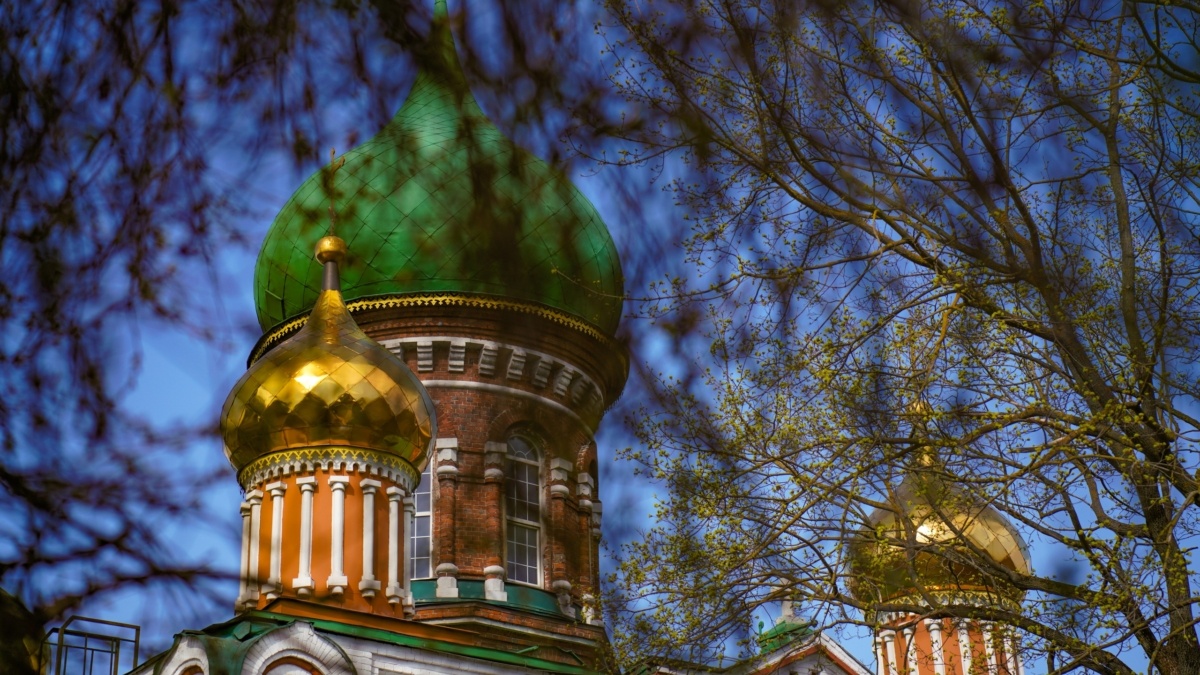 Светлана Мулыкина📷
