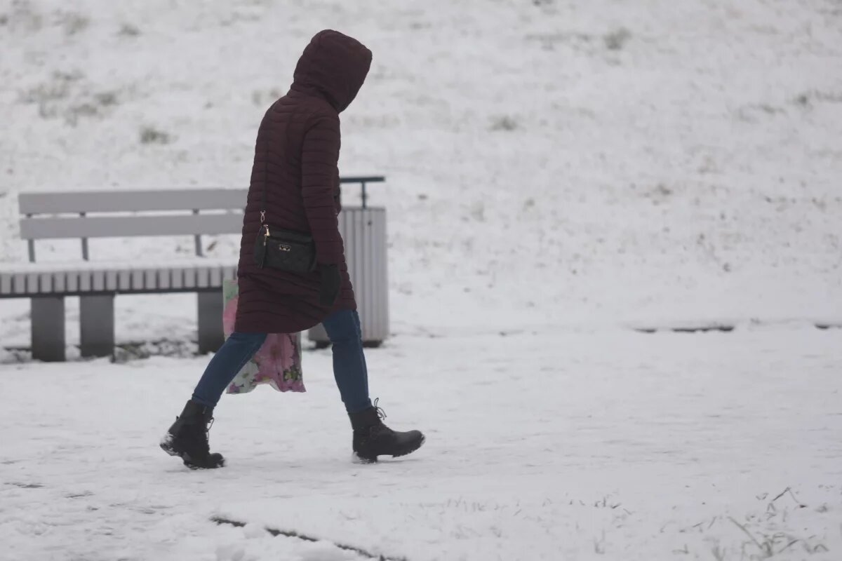    Власти Пскова оценили уборку первого в этом сезоне снегопада