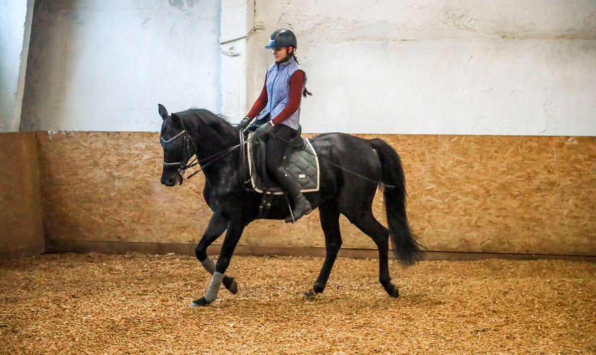 Фото: Павел Комаров, nsknews.info