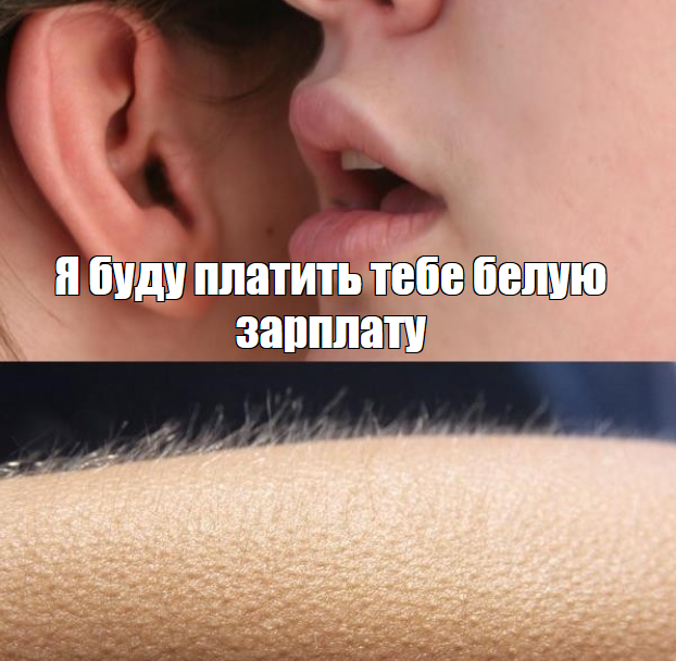 Многие начнут стремиться к обелению доходов