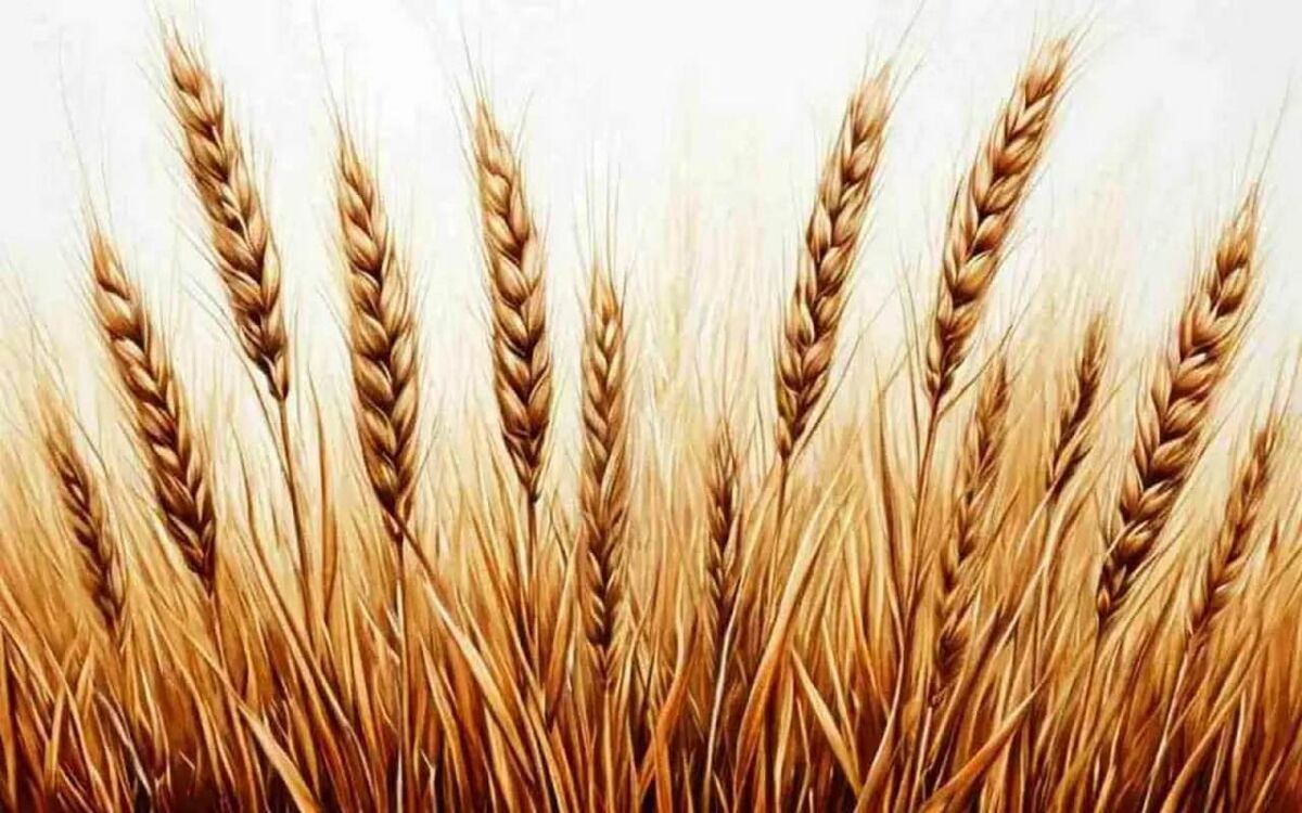    Владельца агрохолдинга CBS Илью Чурина признали банкротом Иллюстрация: нейросеть «Шедеврум»