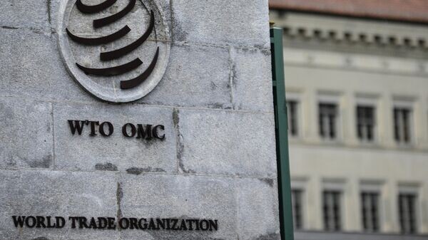    © Sputnik / Алексей Витвицкий