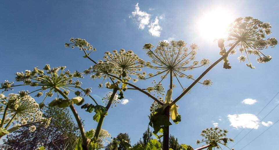    Медиасток.РФ