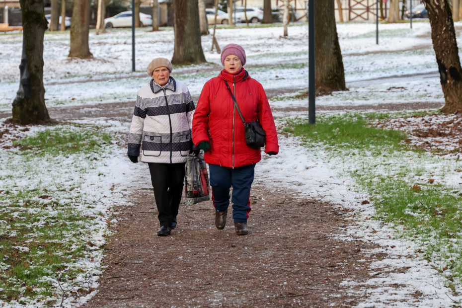    Алексей Белкин/NEWS.ru