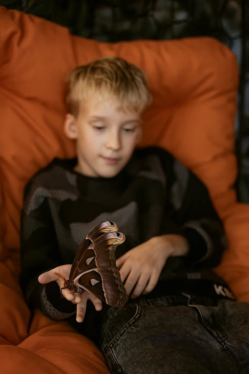 Когда бабочка выбирает тебя — кажется, что мир замирает