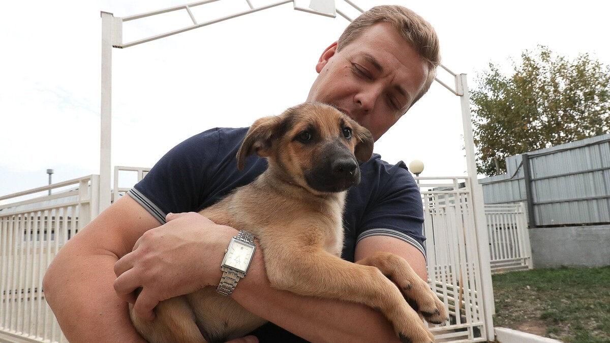 © РИА Новости / Антон Денисов
