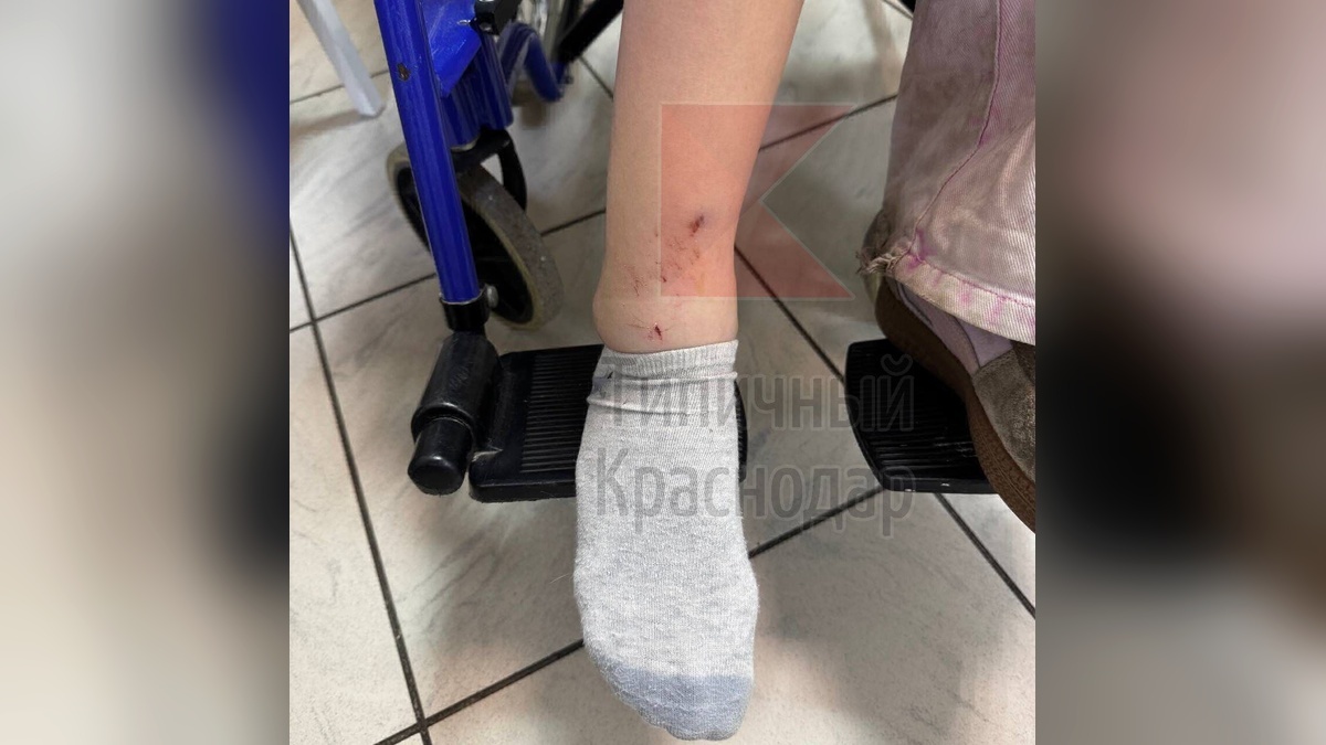    Фото t.me/krd_tipich_ru