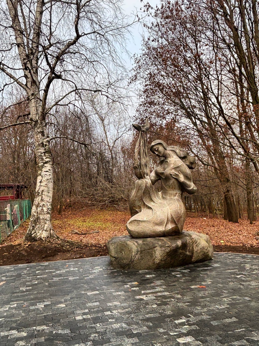    администрация Петрозаводска