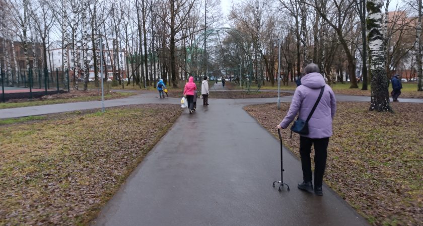    Фото: progorod43.ru