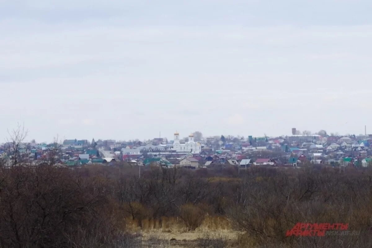    Бешенство в Колывани: введены карантинные меры до конца января