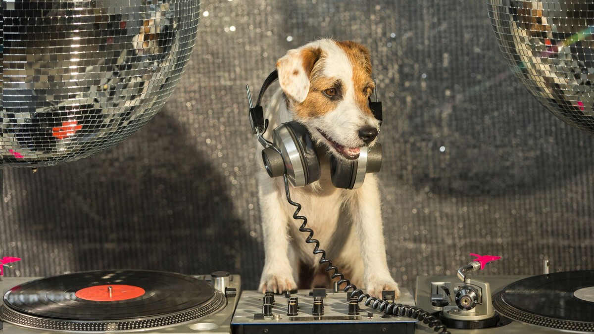 Школа диджеинга для детей