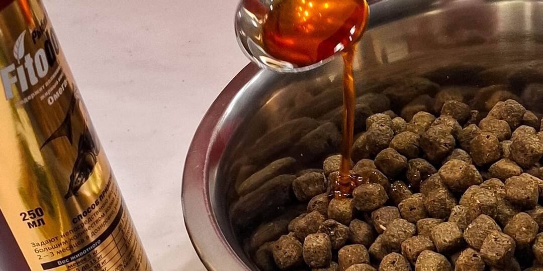 Рыбий жир, сёмга и оранжевый цвет здоровья для булли