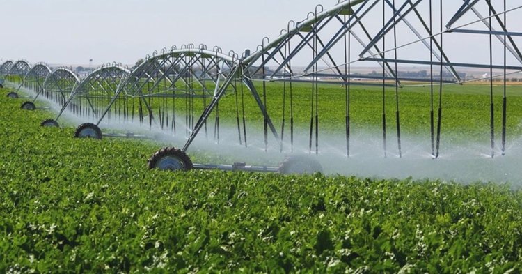    Фото: Минсельхоз Самарской области