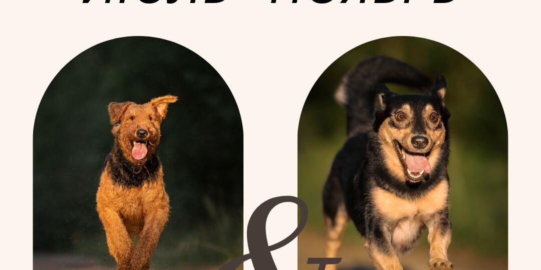 Новости последних месяцев