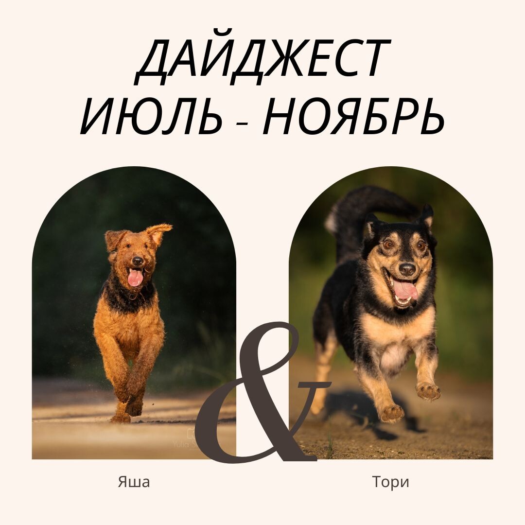 Фото: Подкаст "Собаки и их люди", психолог, кинолог, зоопсихолог Екатерина Кастрицкая, анималотерапия, канистерапия. Проект "Люди и их собаки": о людях глазами собак и горячая линия для собак. 