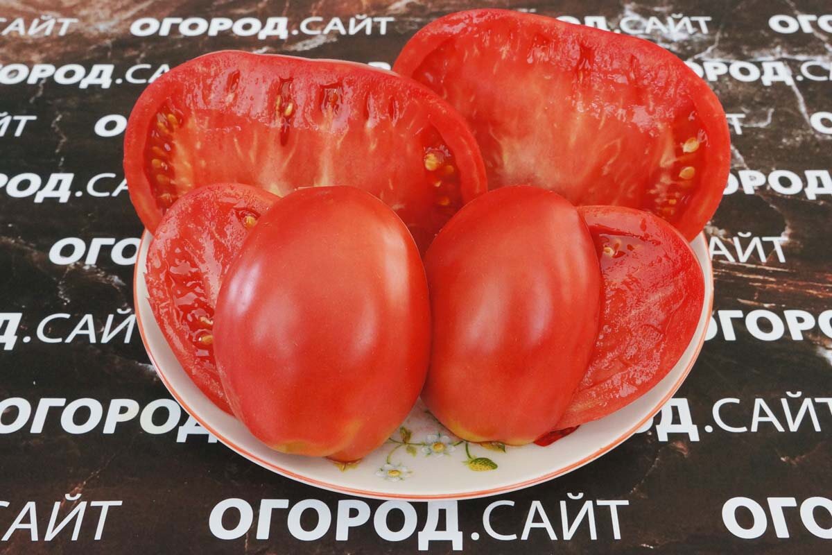 Косентино сел Клаудио, семена на ОГОРОД.САЙТ