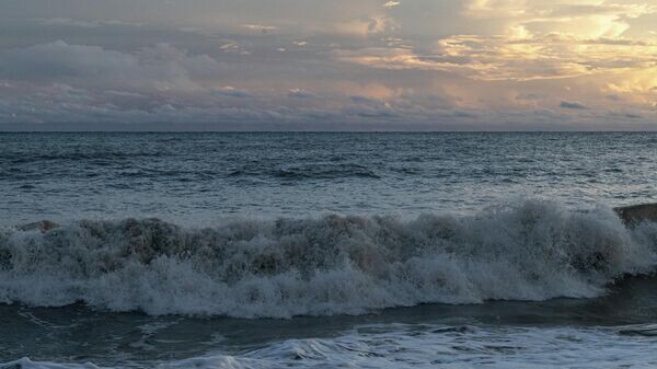    © Sputnik / Алексей Даничев