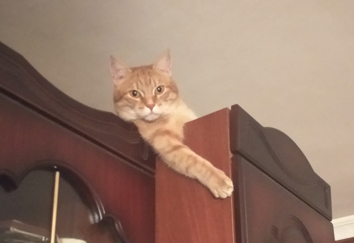 Личное фото