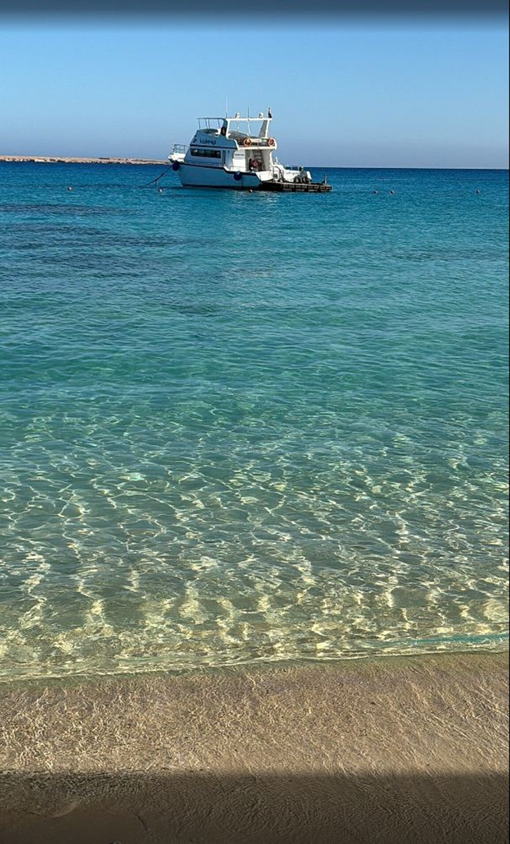 Фото из открытых источников.