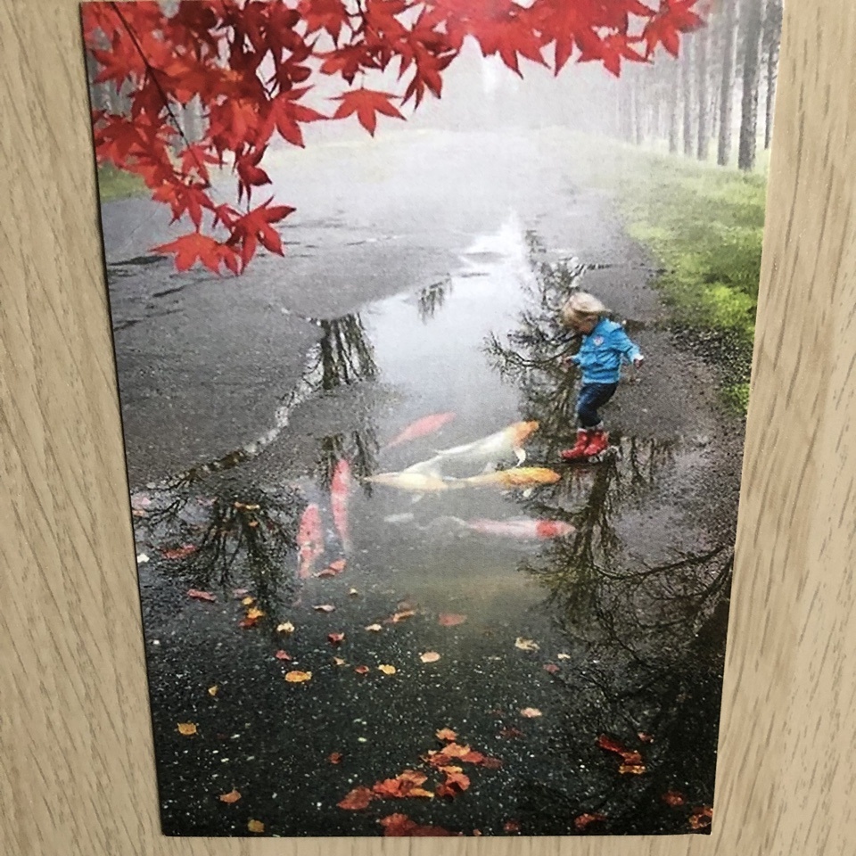 Когда я получаю открытки по посткроссингу, то некоторые кажутся иллюстрациями к моим сюжетам. Одинокий ребенок прилетел из города Владимира. 