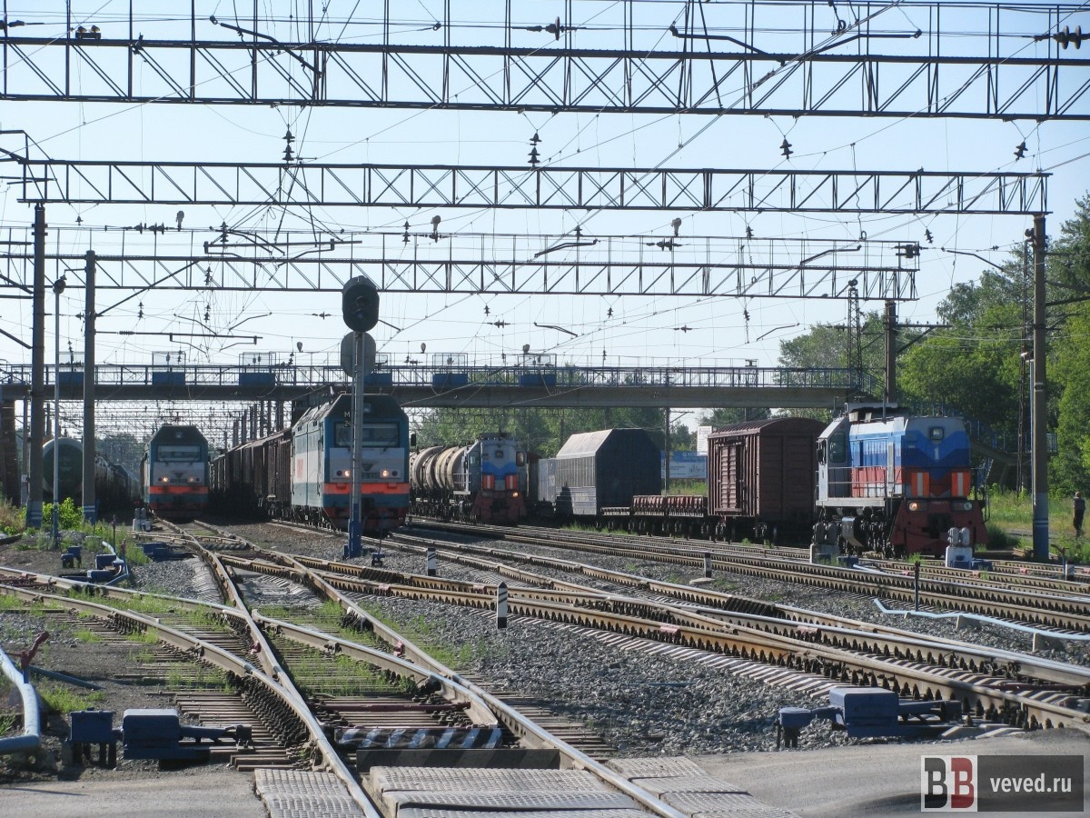     Фото: Владислав Постников / Вечерние Ведомости