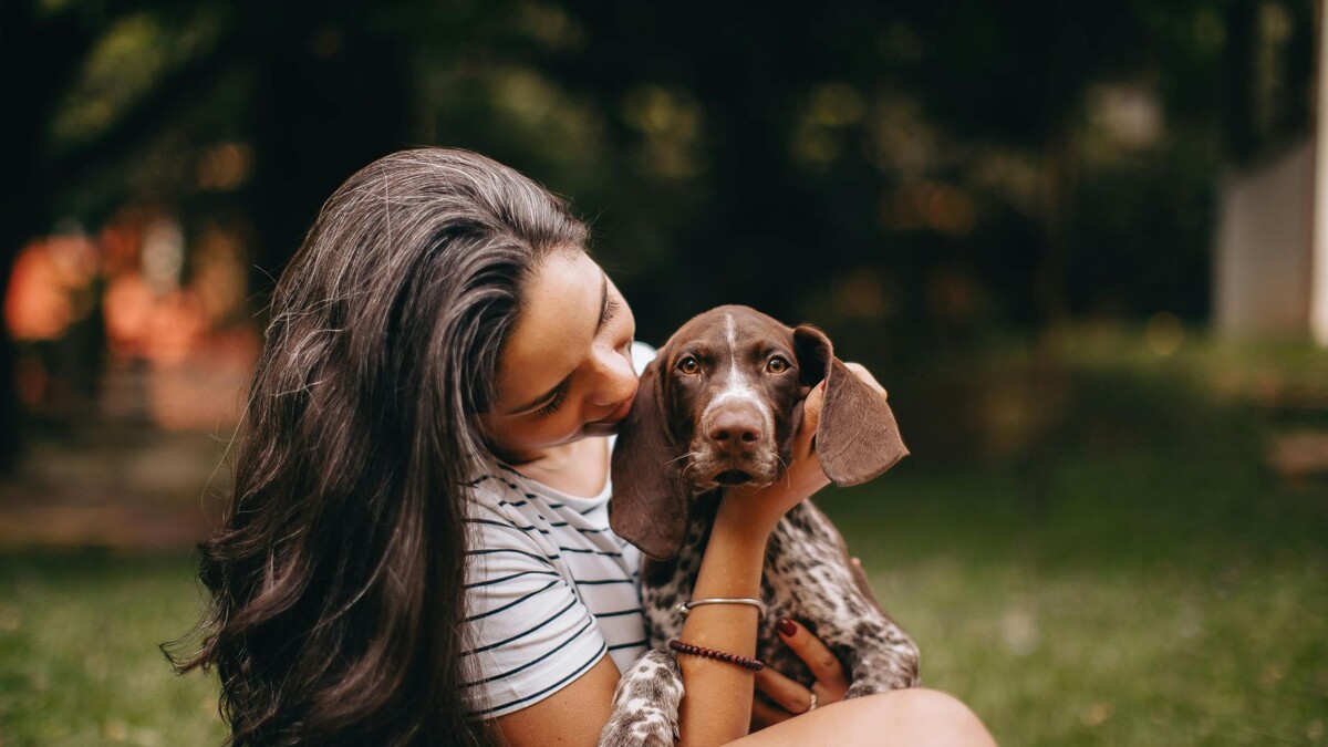 Ваша собака выбрала вас не просто так