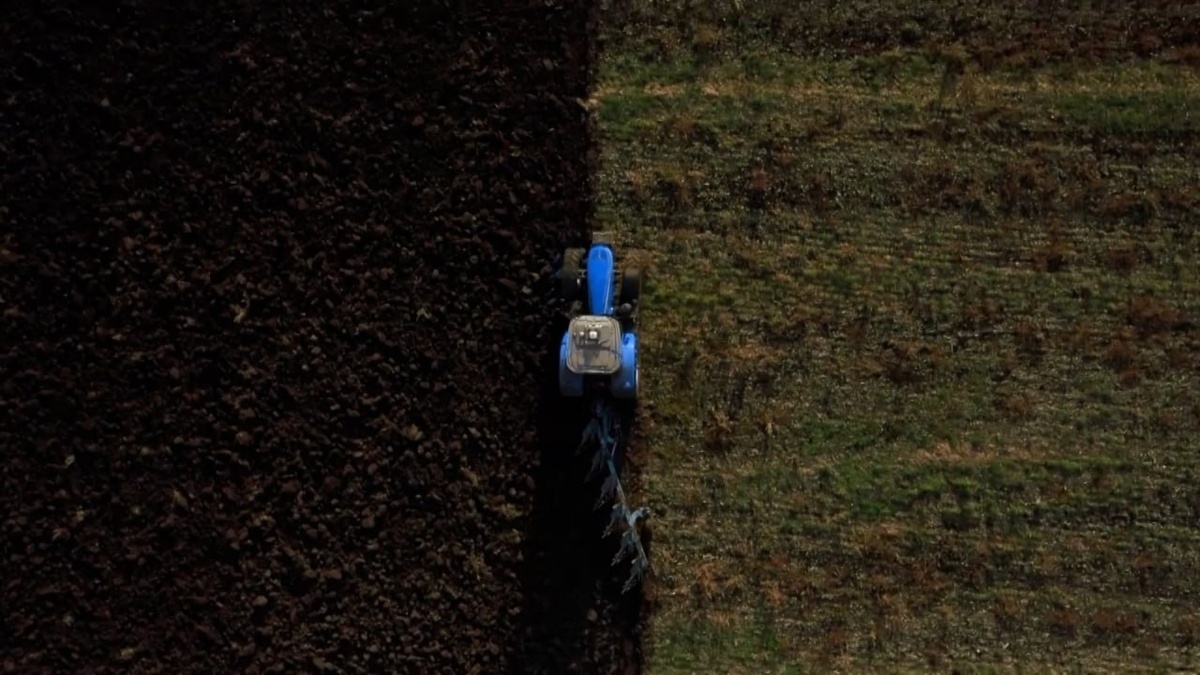    Скриншот видео телеканала «Кубань 24»