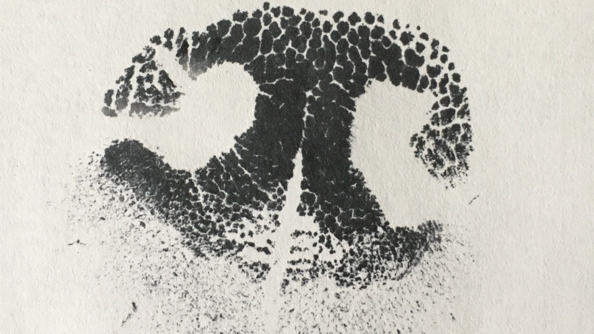 В результате должно получиться что-то подобное. Фото pawlawncervices.com