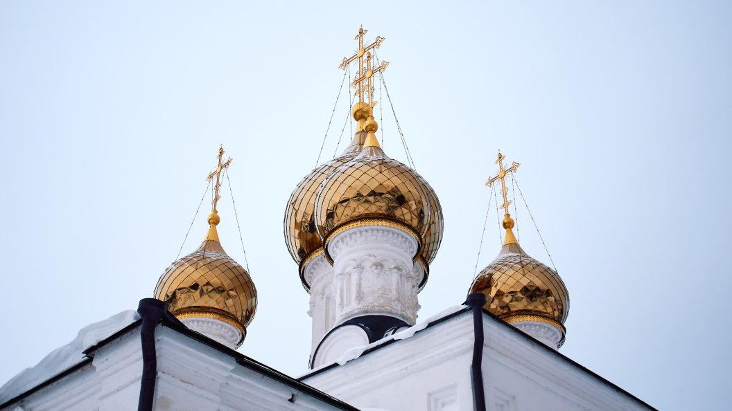    Фото: freepik.com