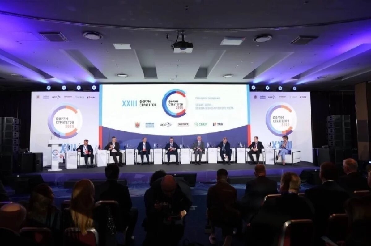    46,7 млн рублей выделили НКО Петербурга на 25 крупных мероприятий