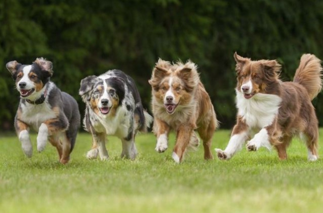 Фото из интернета