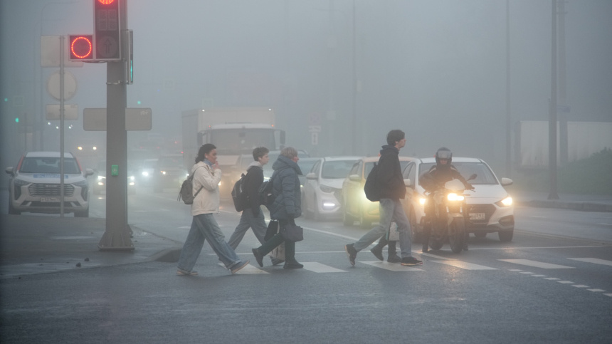    Фото: ИЗВЕСТИЯ/Сергей Лантюхов