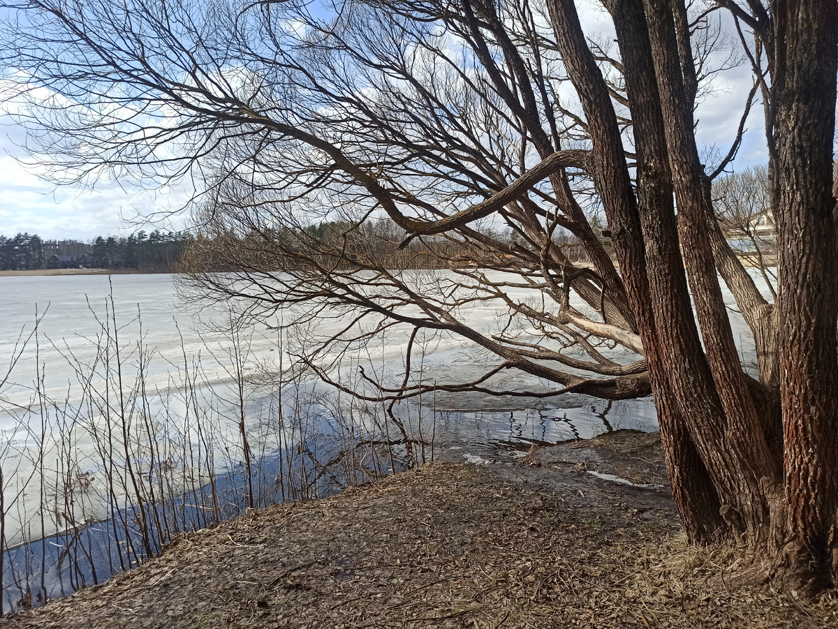 Фото из личного архива