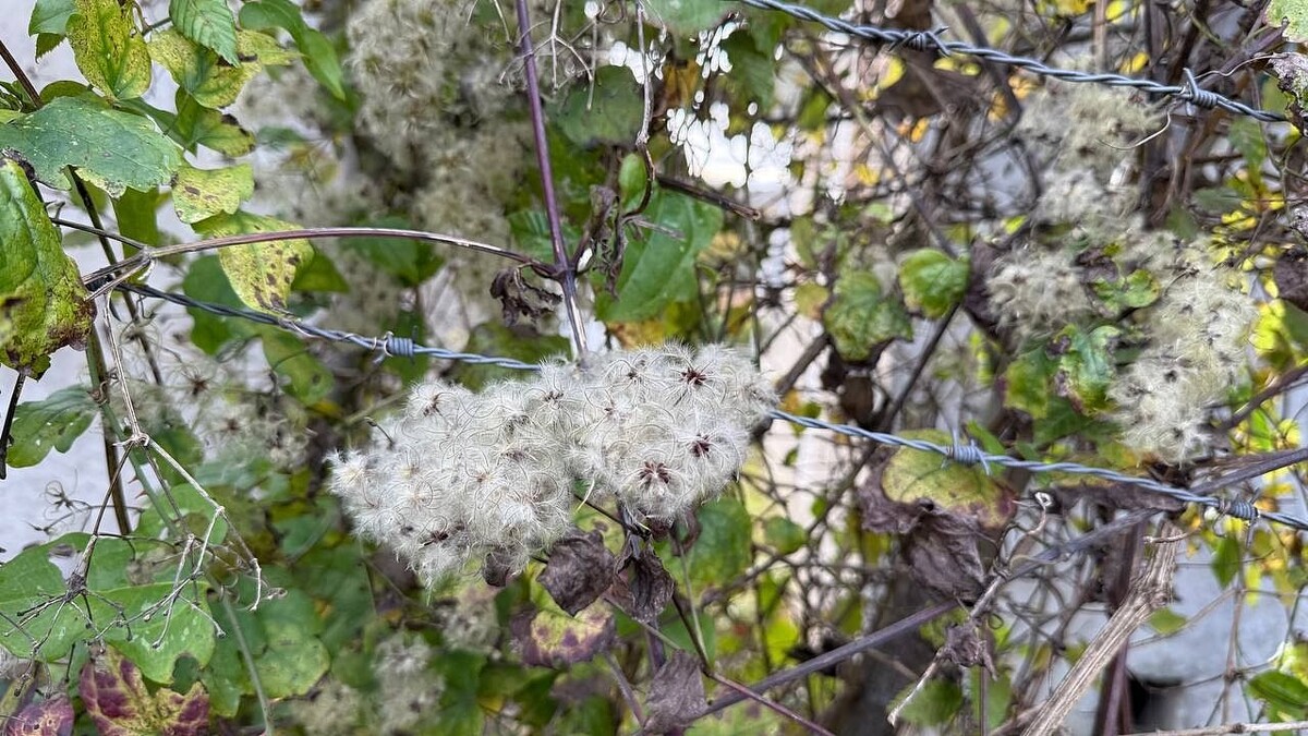    Фото: телеканал «Краснодар»