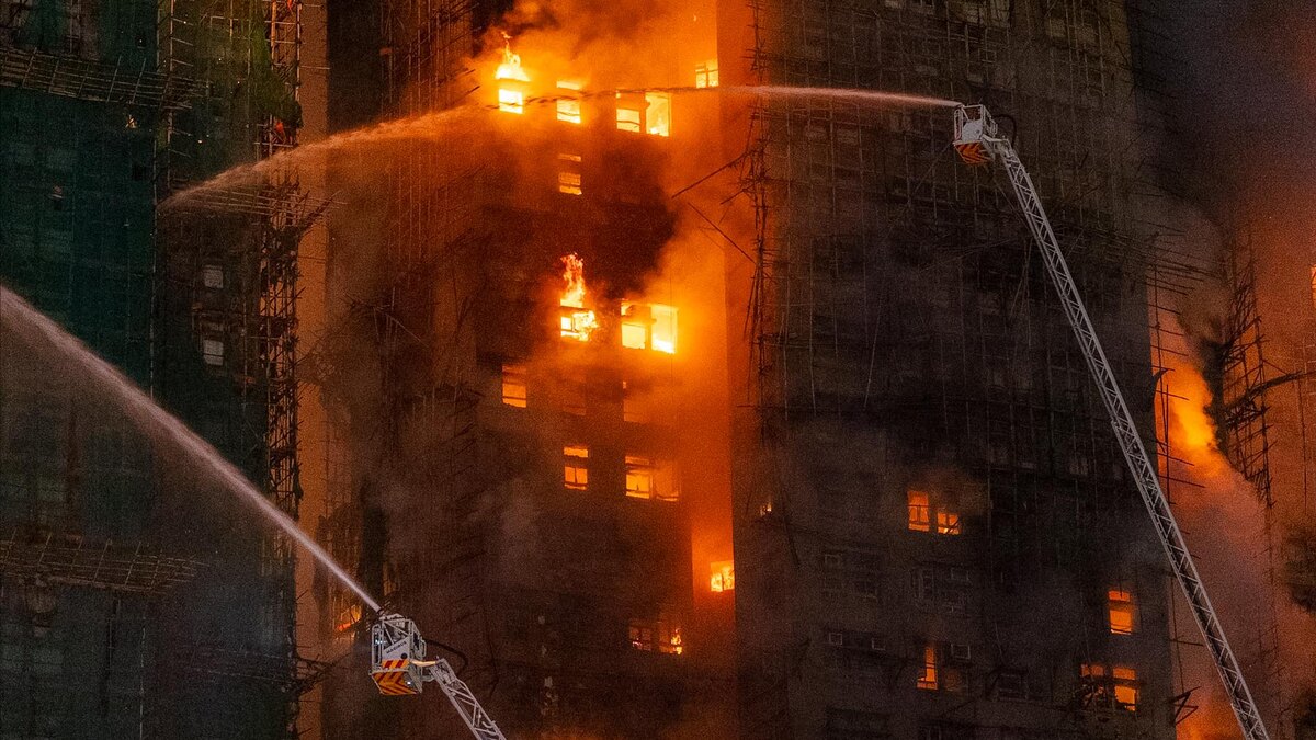 Фото с сервиса Яндекс-картинки.