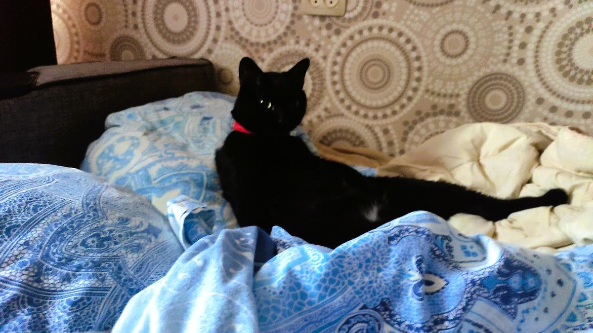 Кто посмел меня будить?!