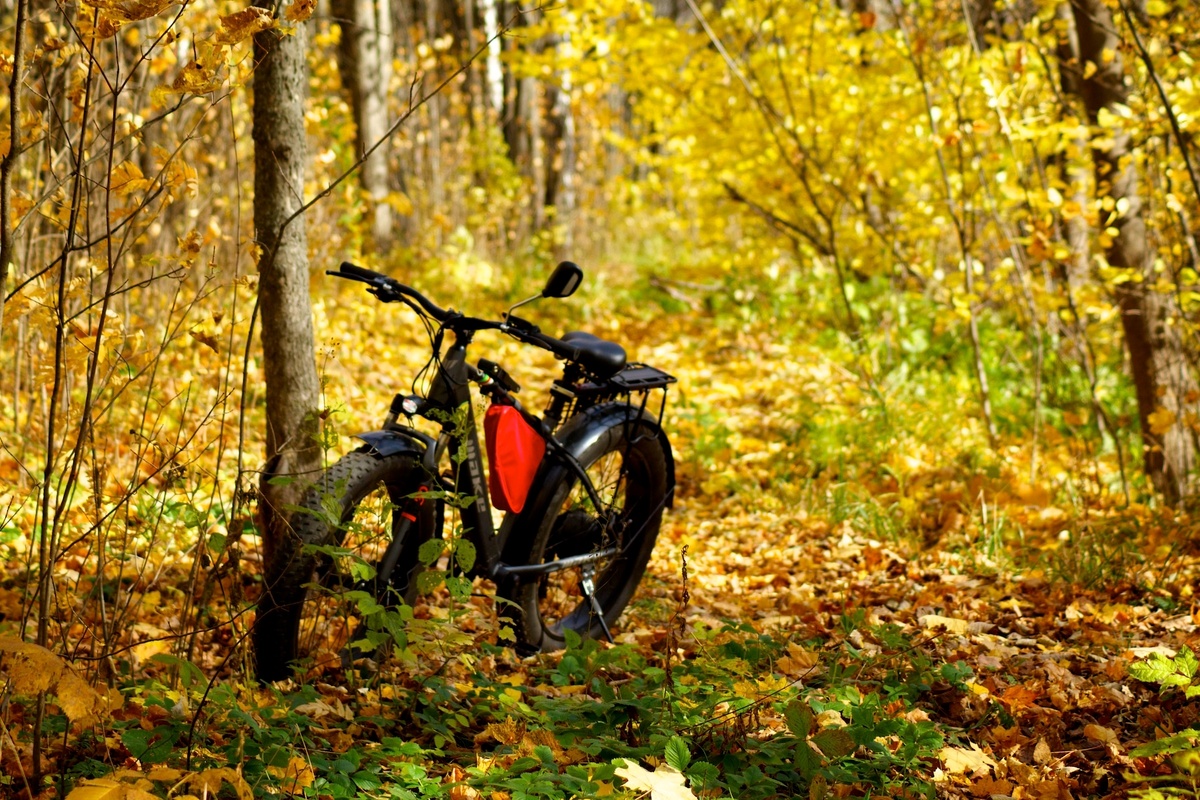 Эллектрофетбайк - штука серёзная 