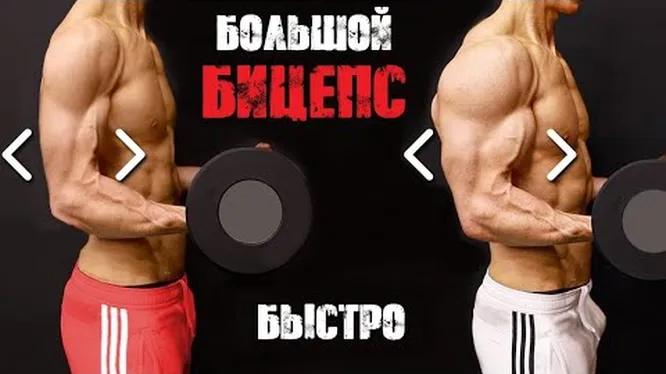 Источник:www.mentoday.ru