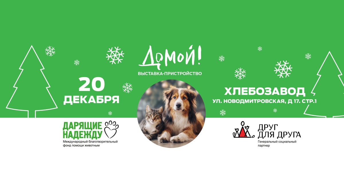    «Елка Дарящих надежду 2025» пройдет 20 декабря с 12:00 до 18:00