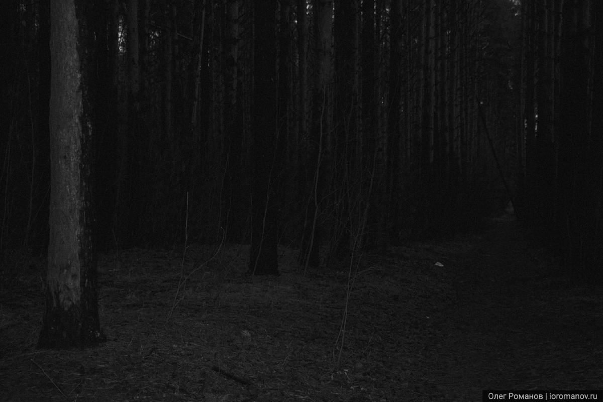 Интимный пейзаж | Intimate landscape