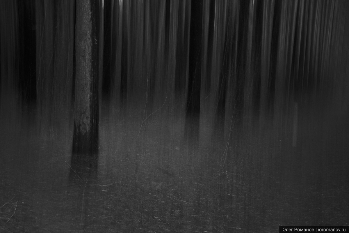 Интимный пейзаж | Intimate landscape