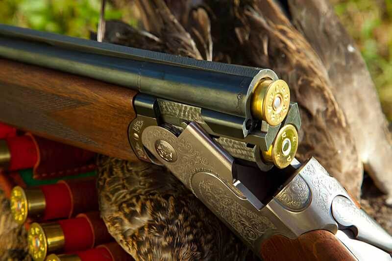 12 калибр — главный охотничий патрон. Характеристики и применение