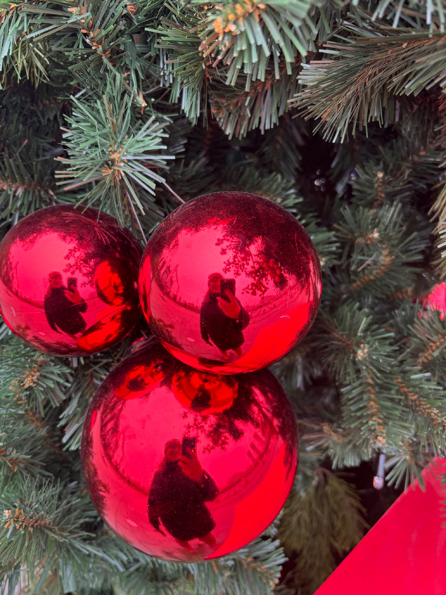 Фото автора. Ходынка украшается, в выходные прогулялись 