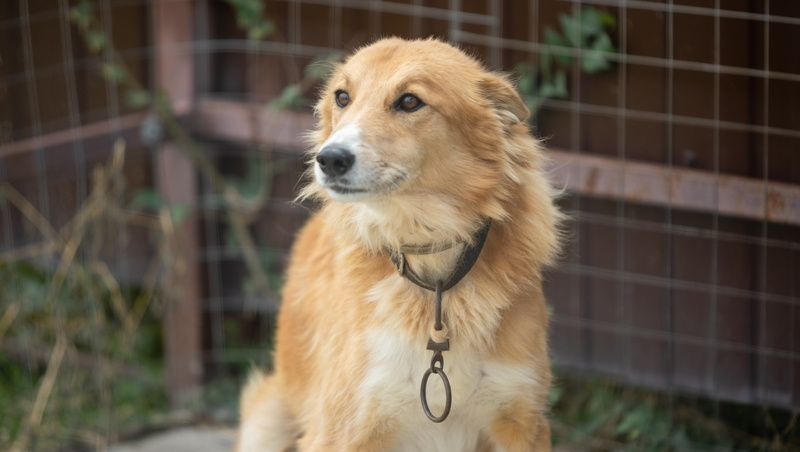      Фото: ИА «Победа26»