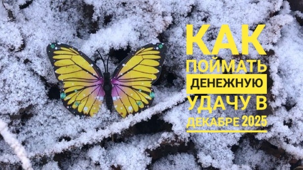 Как поймать денежную удачу в декабре