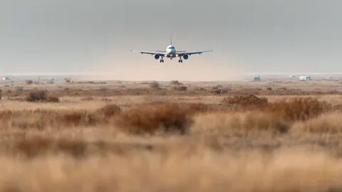 фото: яндекс.